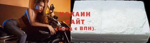 молекула духа Елизово