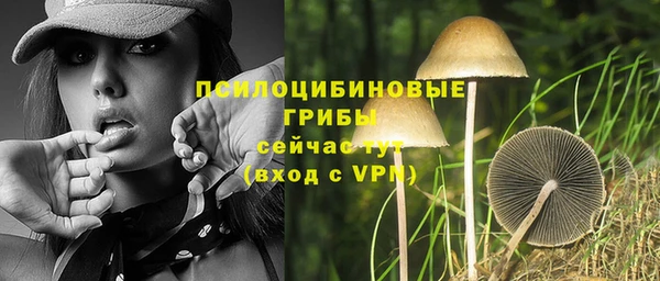 спиды Наволоки